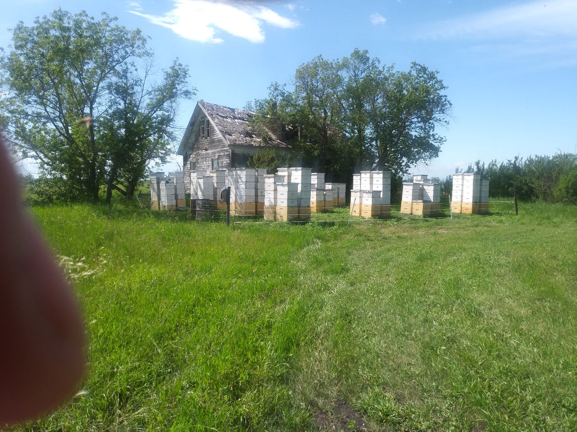 2020 Season photo 26